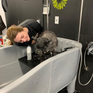 82725153_115157823352204_1566007340262490112_o