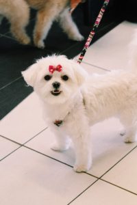 Processed with VSCO with c1pro preset