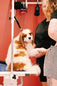 Processed with VSCO with c1pro preset