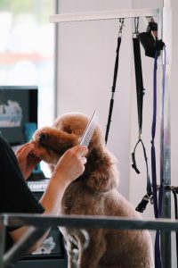 Processed with VSCO with c1pro preset