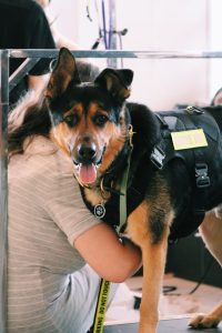 Processed with VSCO with c1pro preset