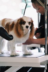 Processed with VSCO with c1pro preset