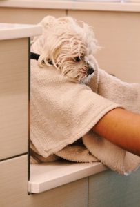 Processed with VSCO with c1pro preset