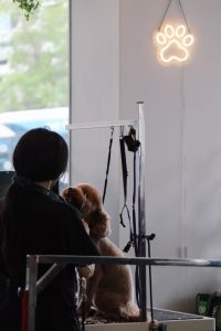 Processed with VSCO with c1pro preset