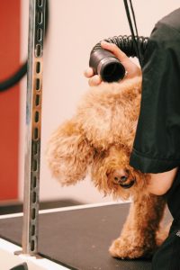 Processed with VSCO with c1pro preset