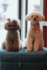 Processed with VSCO with c8pro preset