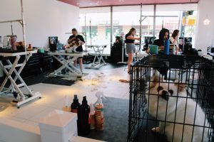 Processed with VSCO with c1pro preset